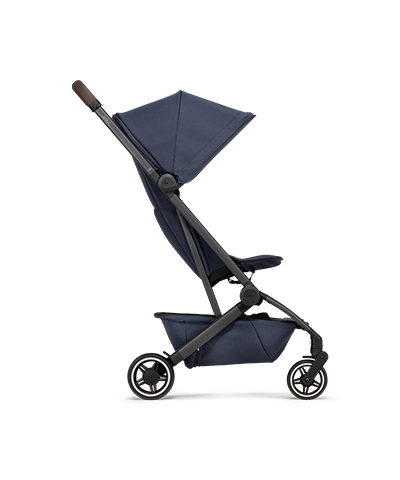 Suitable for every stage of life thanks to this buggy