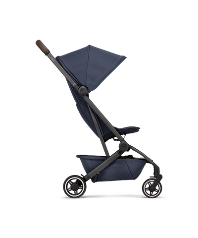 Suitable for every stage of life thanks to this buggy