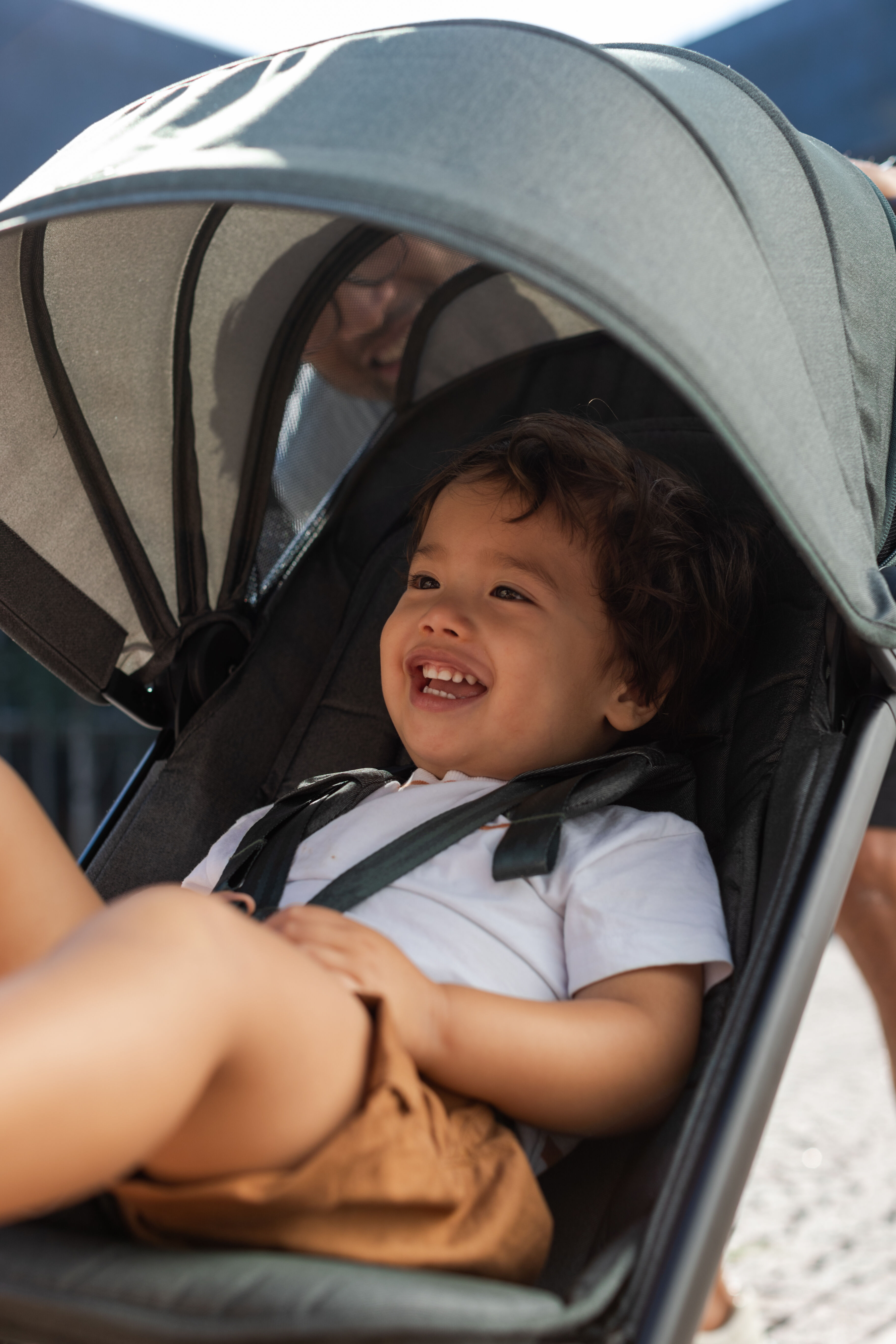 thule stroller tires Urban Glide 4- Wheel All Terrain – Baby Grand Length:36