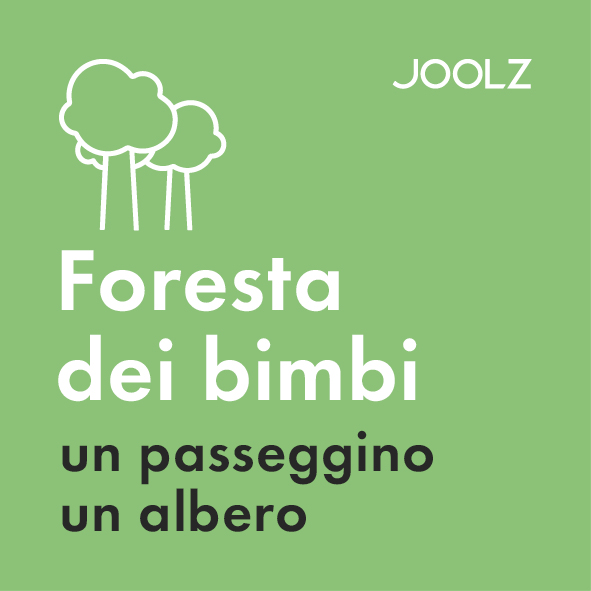 Joolz Hub Life Birth Forest